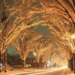 雪のイルミネーション