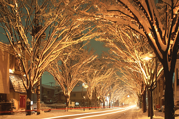 雪のイルミネーション