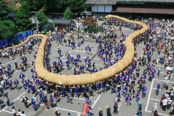 大したもん蛇まつり