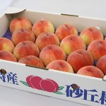 砂丘桃
