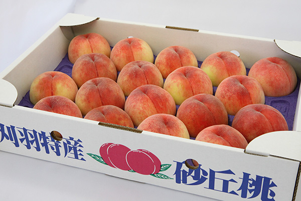 砂丘桃
