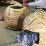 猫ちぐら